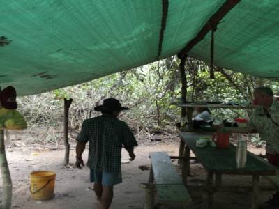 jungle camp