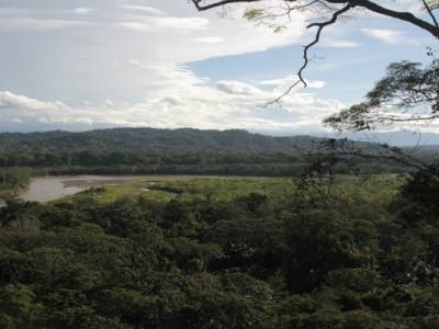 Madidi National Park