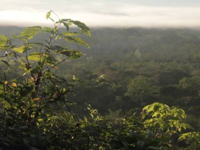 Madidi National Park