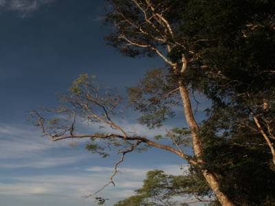 Madidi National Park