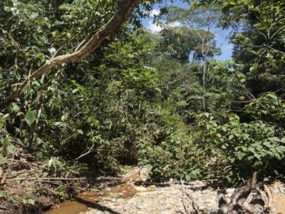 Madidi National Park