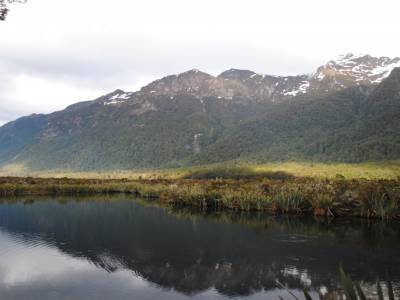 Milford Sound