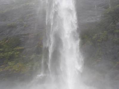 Milford Sound