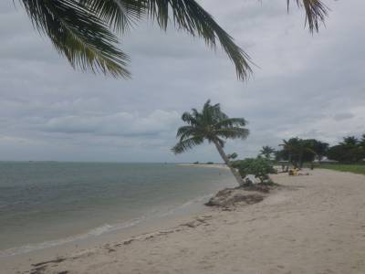 Marathon beach