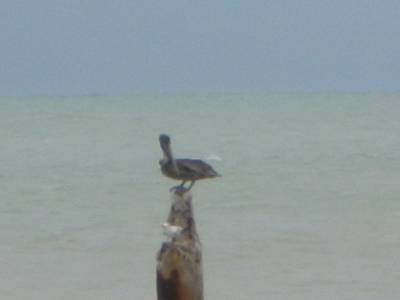 key west