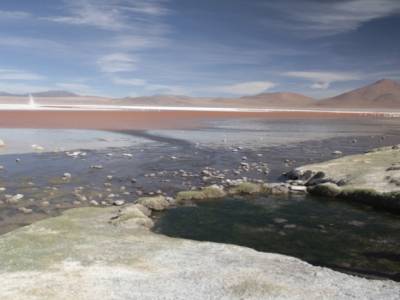 Laguna Colorada