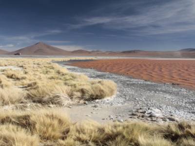 Laguna Colorada