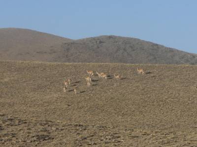 Les Andes