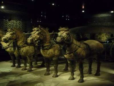 Armee de terre cuite