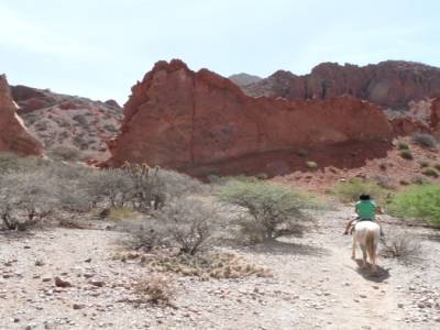 an horse ride in tupiza fabulous area