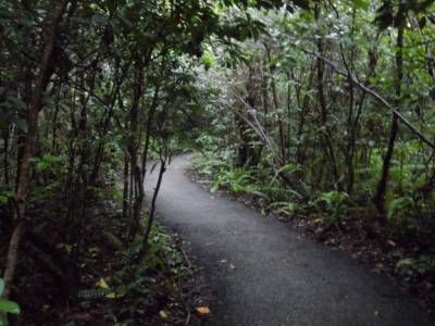 gombo limbo trail