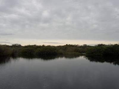 paysage everglaes