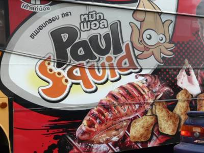 lis mangent  paul le poulpe 