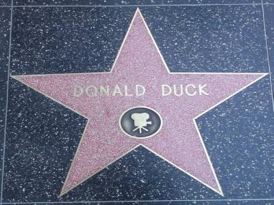 Donald Duck !