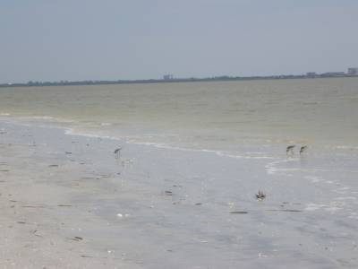plage de Sanibel