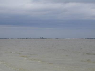 plage de Sanibel; avec dauphins au loin