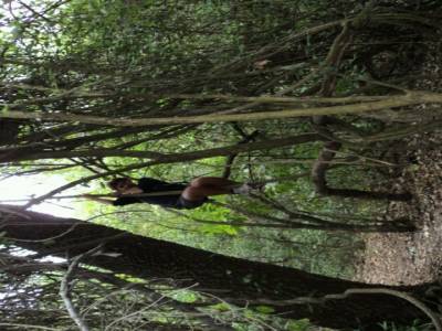 Djo se prend pour tarzan dans le Parc National Calilegua