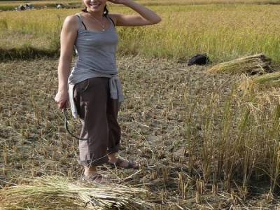 Recolte du riz