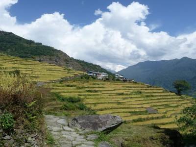 Treck du Sanctuaire des Annapurnas