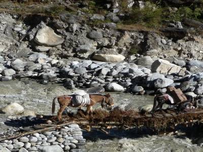 Treck du Sanctuaire des Annapurnas