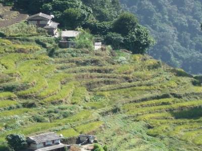 Treck du Sanctuaire des Annapurnas