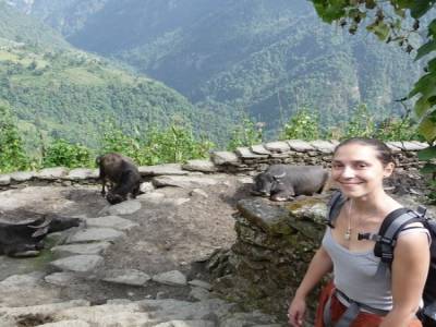 Treck du Sanctuaire des Annapurnas