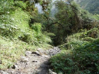 Treck du Sanctuaire des Annapurnas