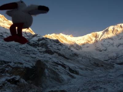 Treck du Sanctuaire des Annapurnas
