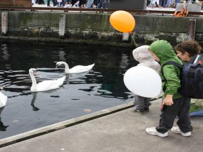 Stavanger
