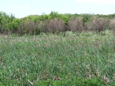 réserve naturelle près du centre de buenos aires!
