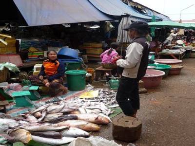 Marché aux poissons