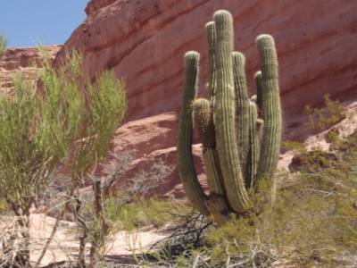 Quebrada de Cafayate