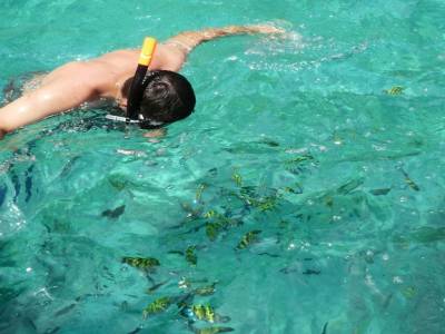 yo snorkeling