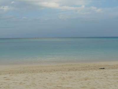 BAMBOO ISLAND