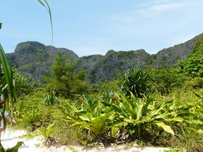 MAYA BAY