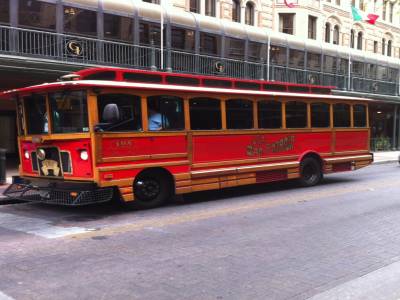 les bus du centre ville