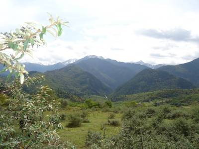 balade à cheval