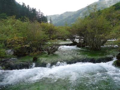 la riviere