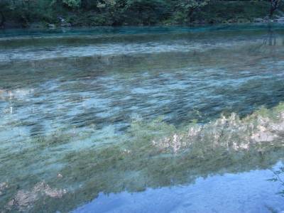la rivière