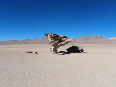 Arbol de piedra