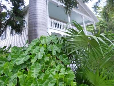 key west par Gabrielle