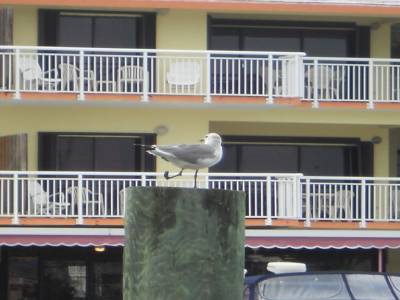 key largo par Gabrielle