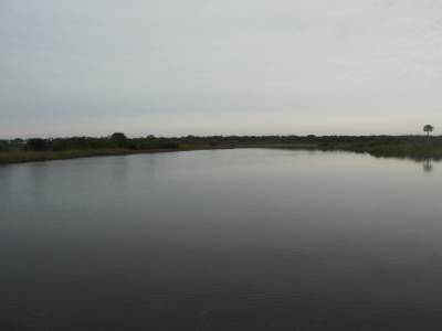 Everglades par Gabrielle