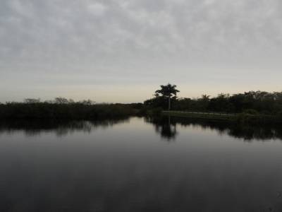 Everglades par Gabrielle