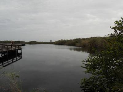 Everglades par Gabrielle