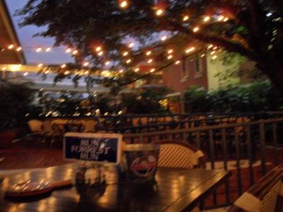 terrasse du Bubba gimp