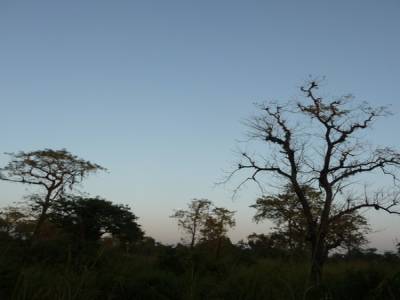 Chitwan