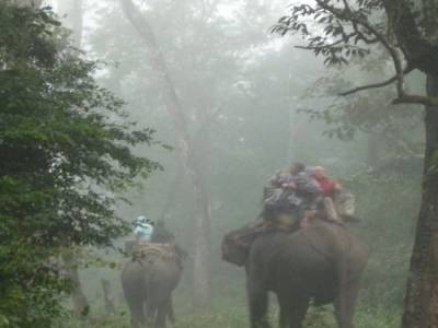 Chitwan