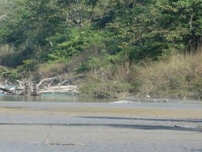 Chitwan