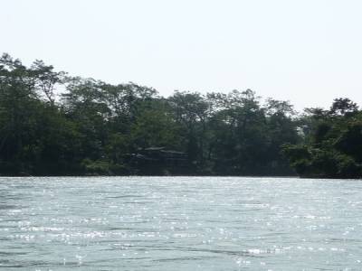 Chitwan